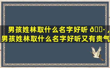 男孩姓林取什么名字好听 🌷 ,男孩姓林取什么名字好听又有贵气